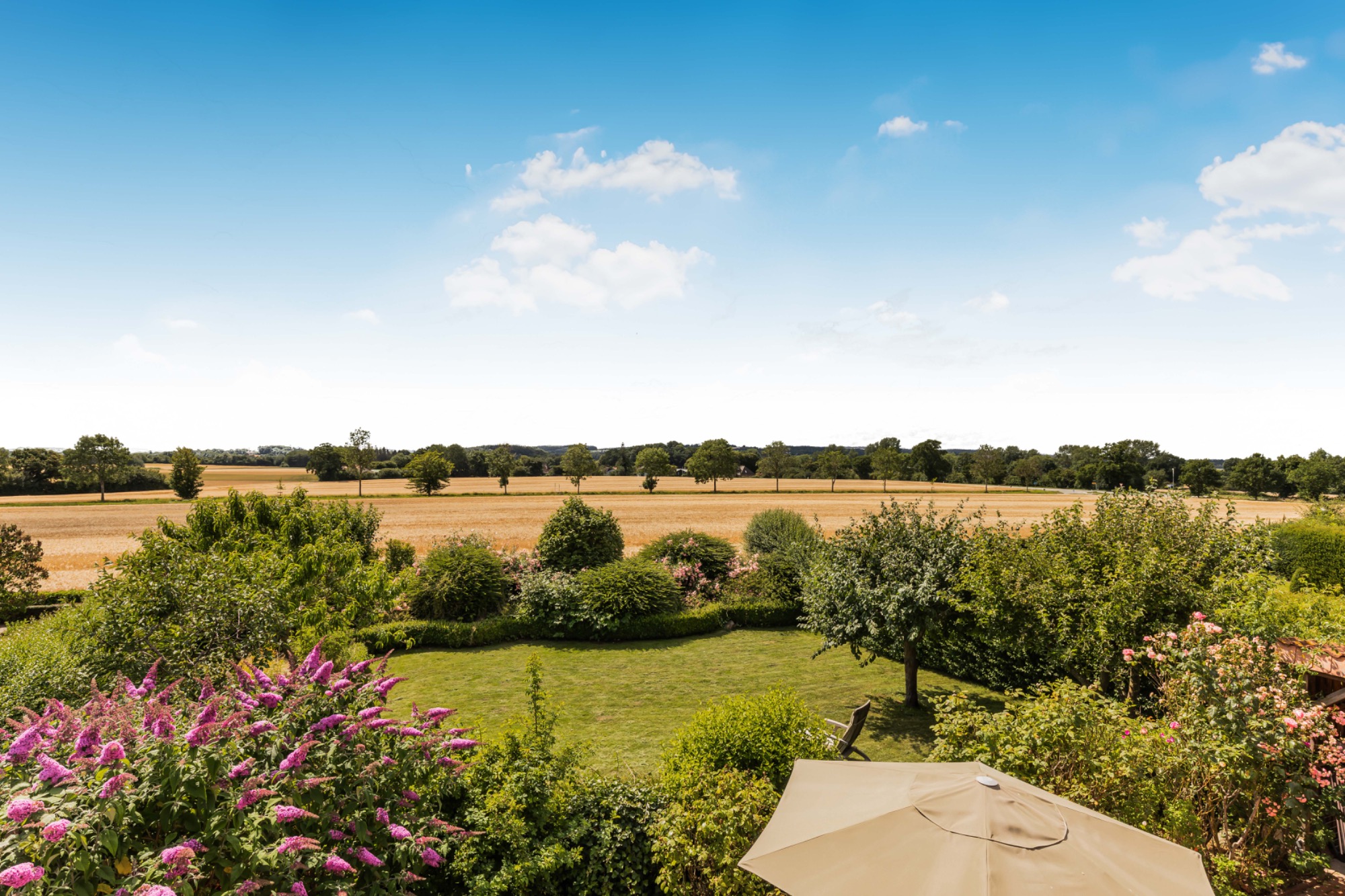 Aussicht auf ein grünes Feld mit Bäumen und Sträuchern unter blauem Himmel.